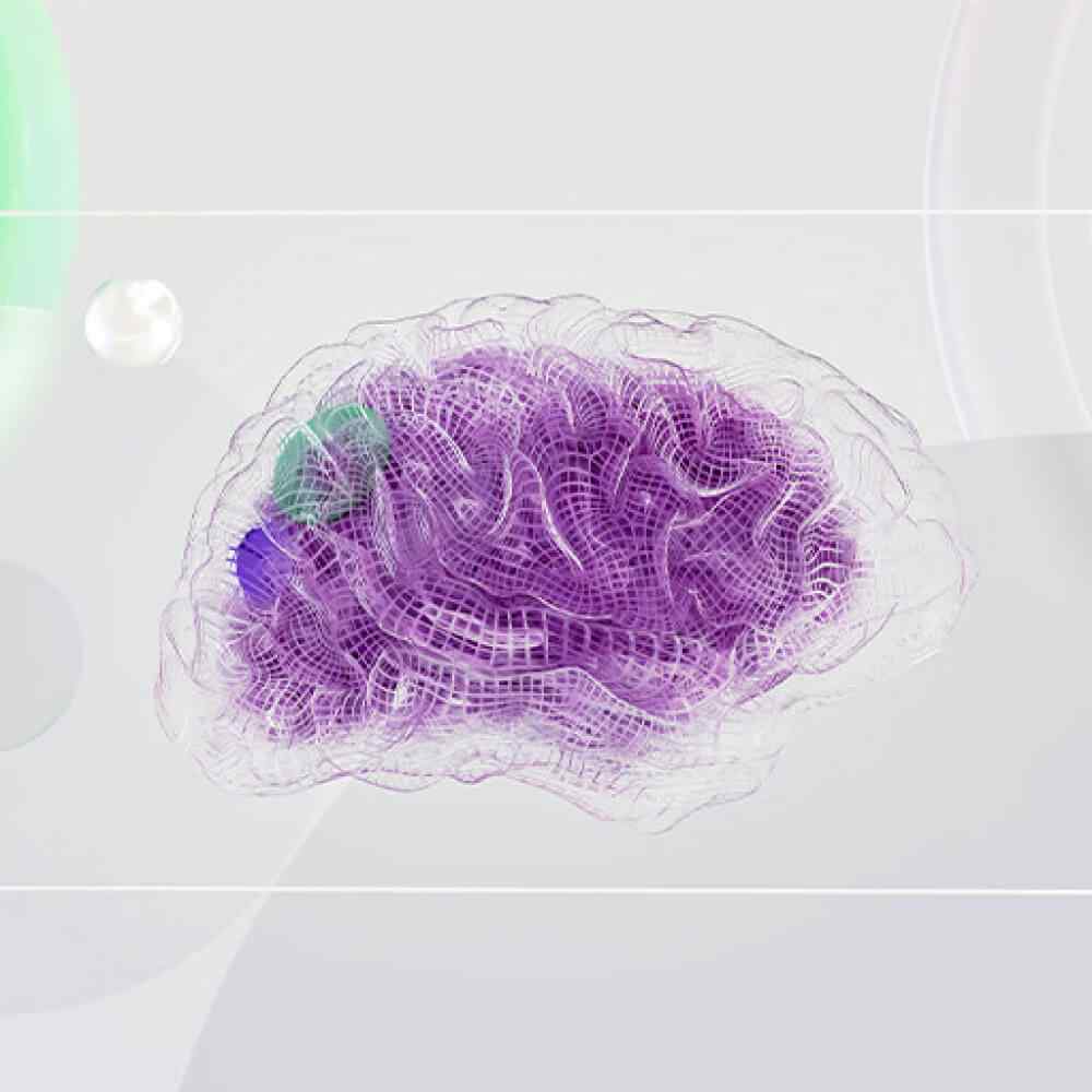 inner_image_02 https://silverspectrum.ai/wp-content/uploads/2023/11/inner_image_02-2.jpg